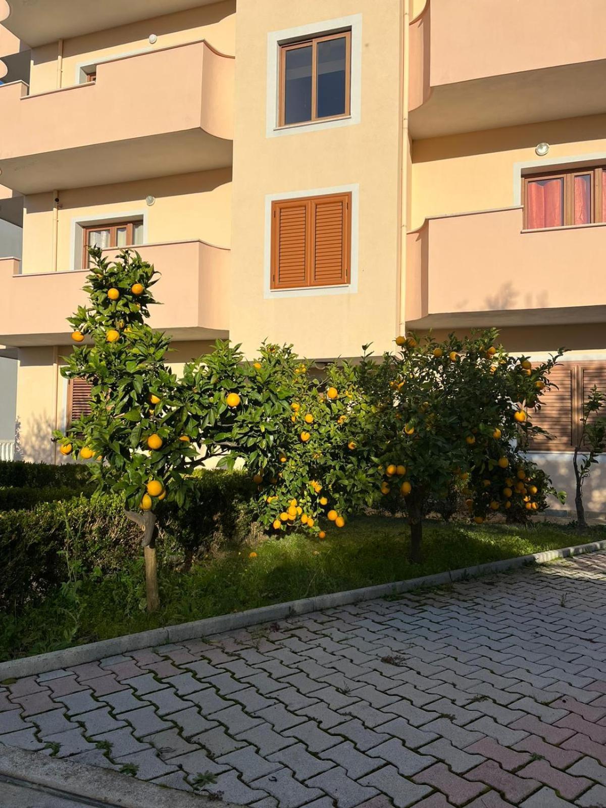 Villa Dei Limoni Škalngur Kültér fotó