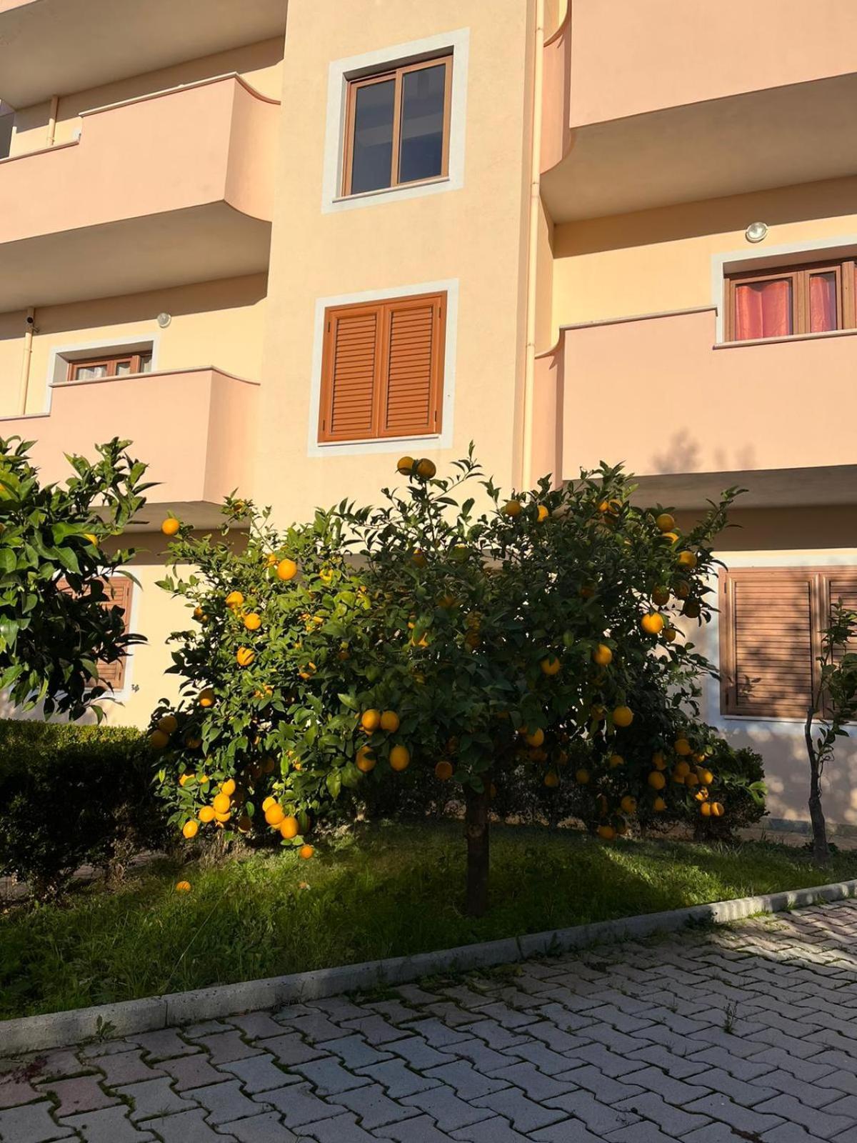 Villa Dei Limoni Škalngur Kültér fotó