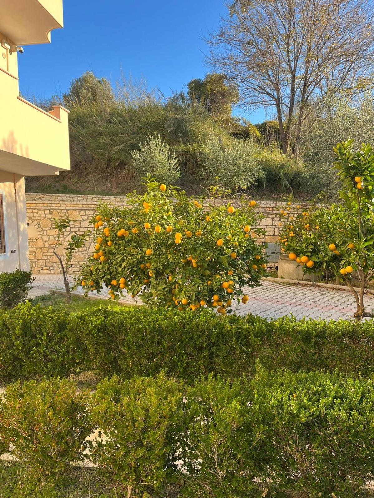 Villa Dei Limoni Škalngur Kültér fotó