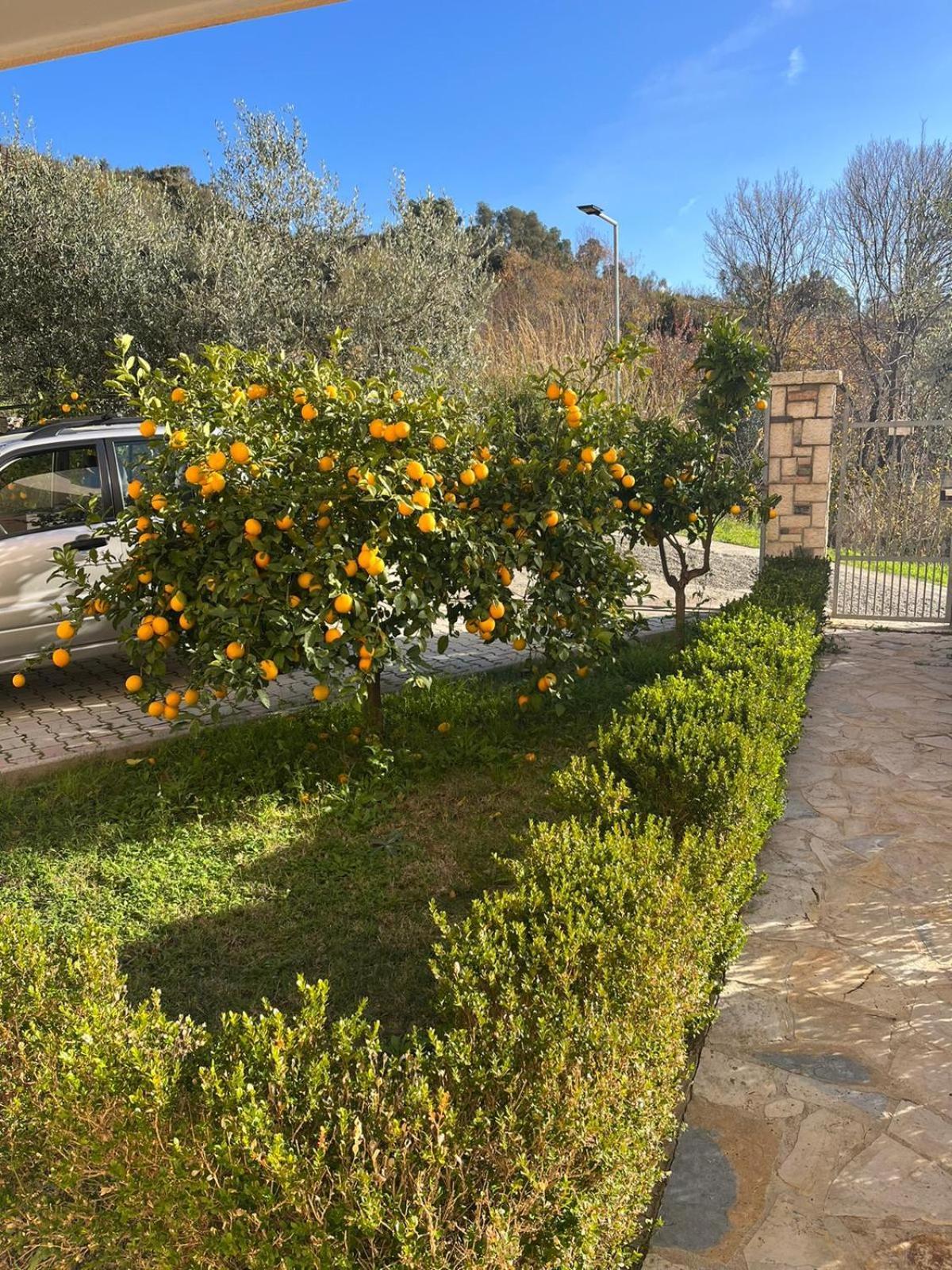 Villa Dei Limoni Škalngur Kültér fotó