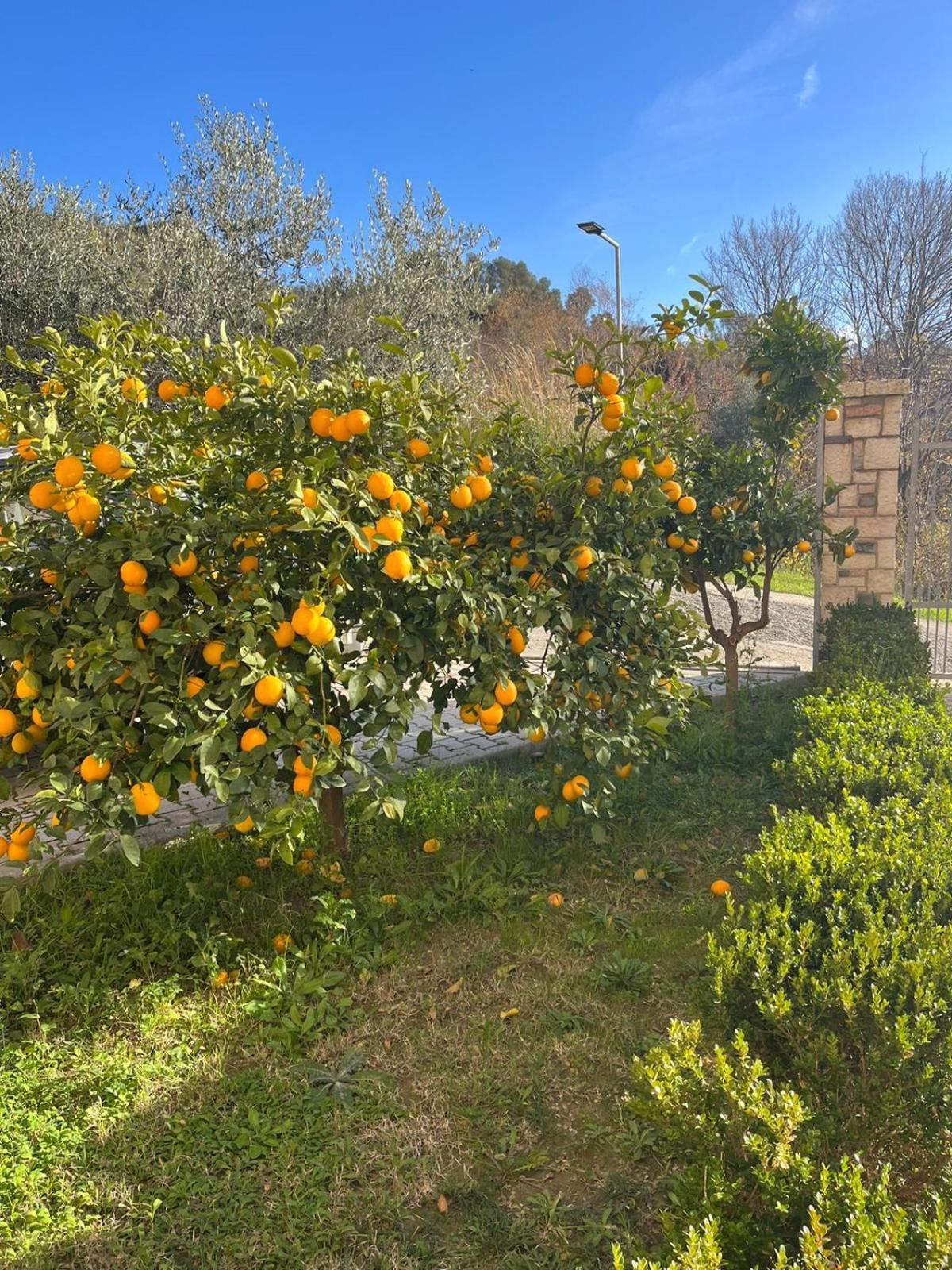 Villa Dei Limoni Škalngur Kültér fotó