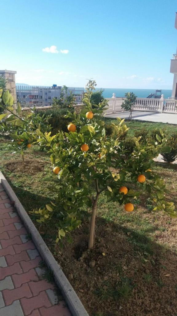 Villa Dei Limoni Škalngur Kültér fotó