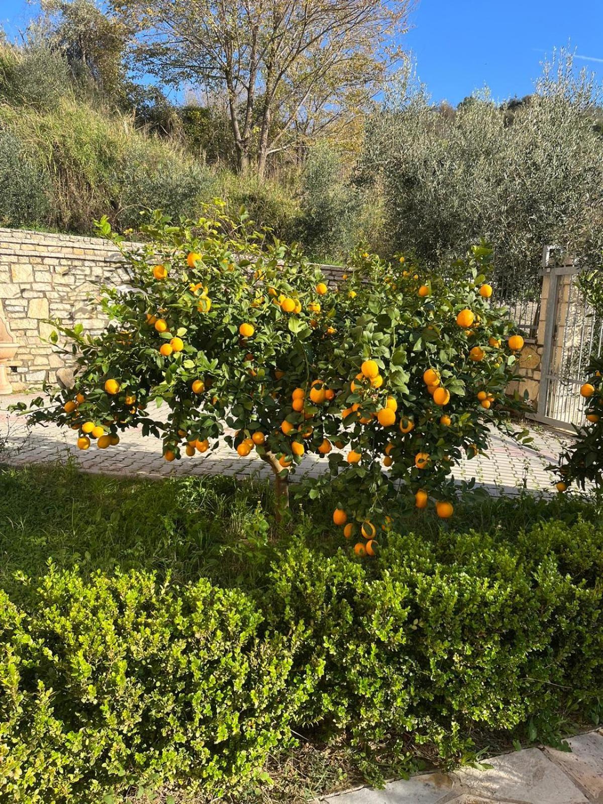 Villa Dei Limoni Škalngur Kültér fotó